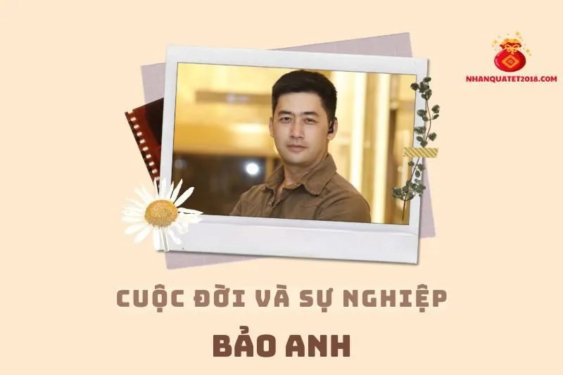 Tổng quan hành trình sự nghiệp diễn viên Bảo Anh