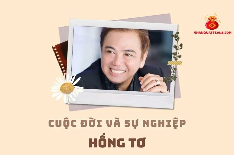 Tổng Quan Hành Trình Sự Nghiệp Diễn Viên Hồng Tơ